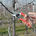 Kit: FELCO 2 Pruning Shears with FELCO 906 Sharpener